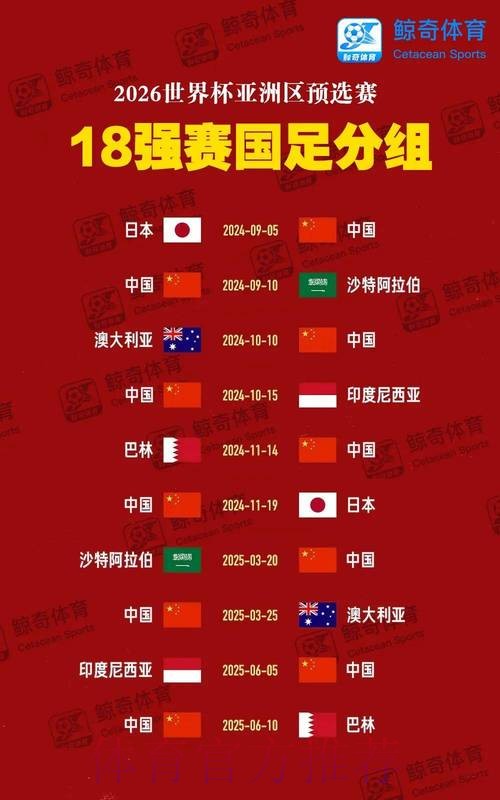 2026年世界杯投注APP入口全解析